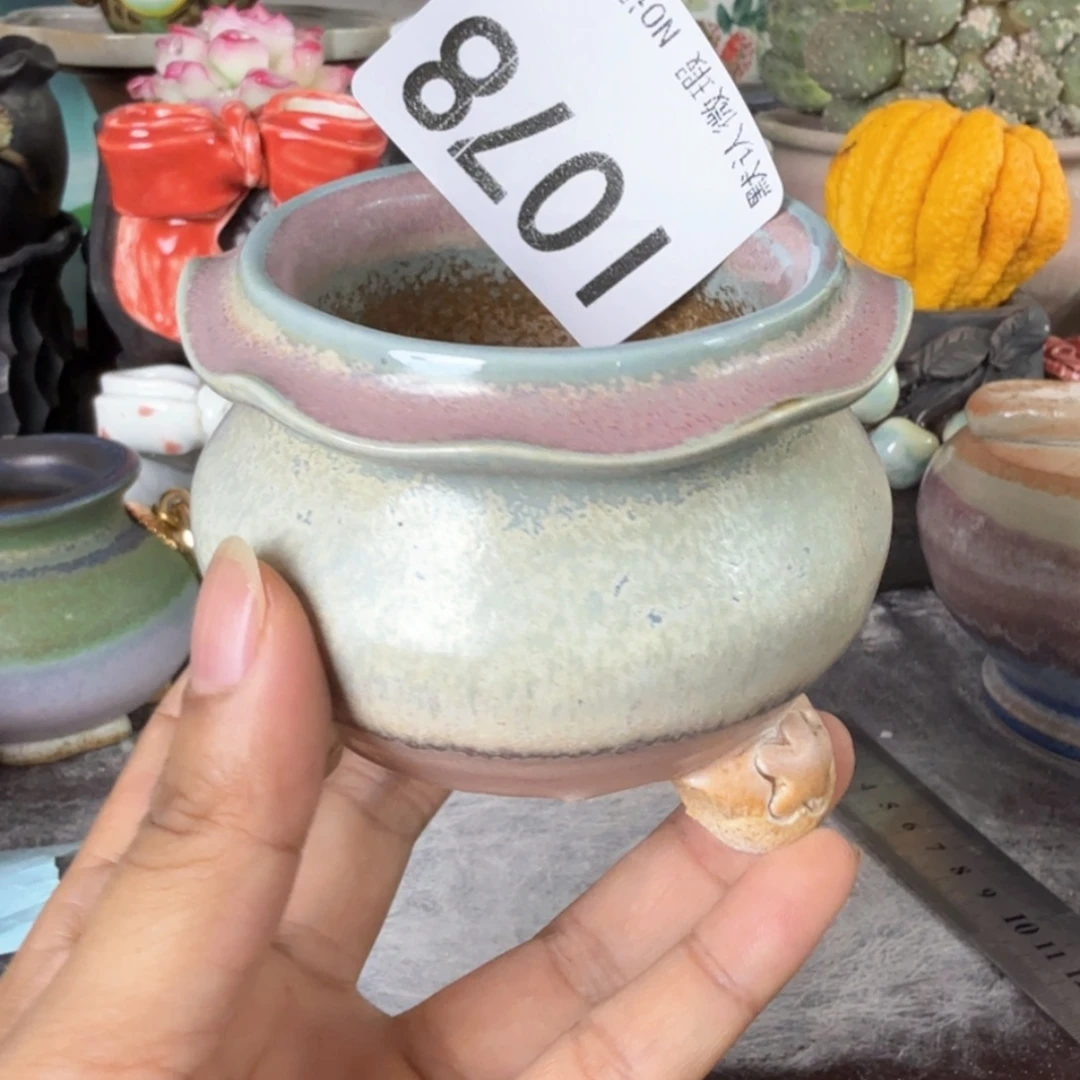 重庆小燕子欢迎大家078