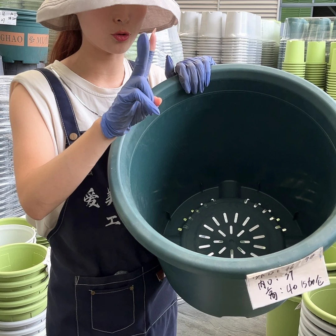 四季盆9#墨绿色2个无托