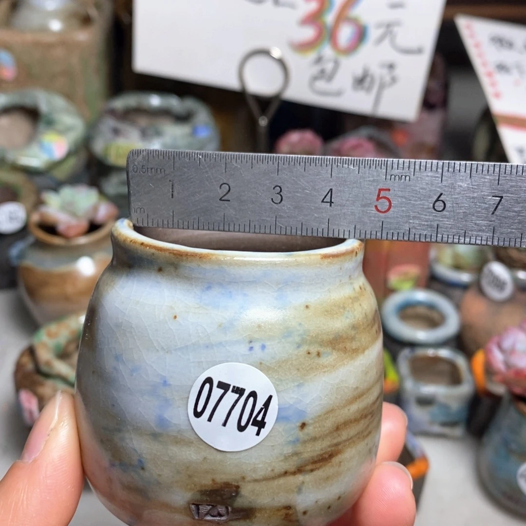 花盆拍5送一个小礼物