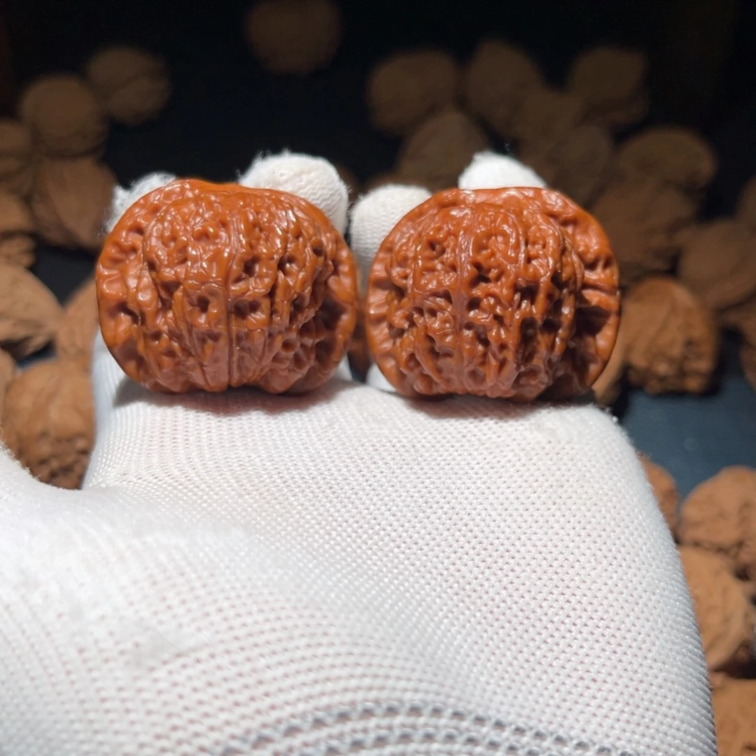 41全品原树血麒麟核桃