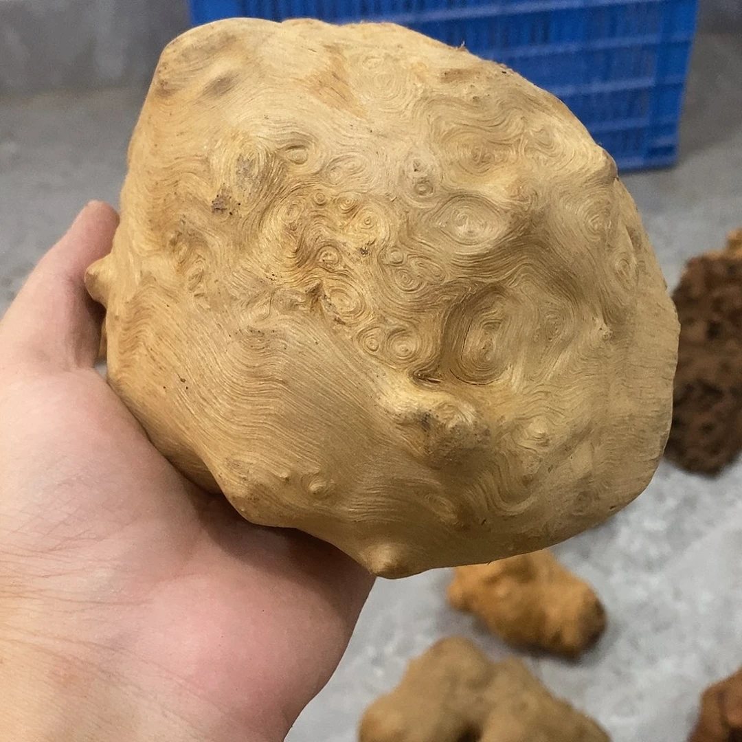 3***治荔枝木荔枝木原料