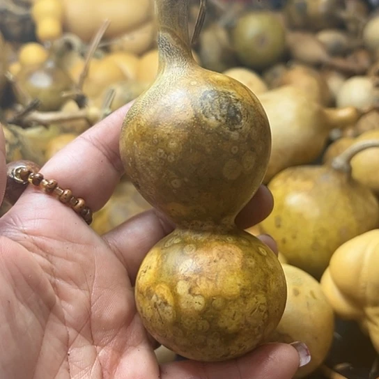 蔚**空葫芦葫芦葫芦葫芦