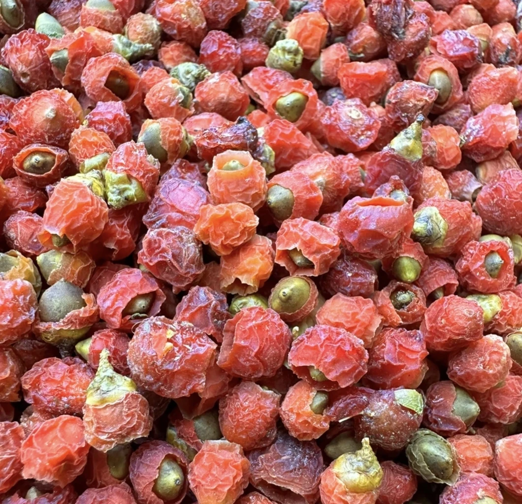 【阿甘甄选】现-收土特产 红-豆-杉-果  净含量：250/500g------非菇