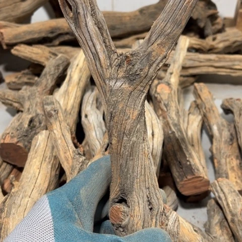 大果紫檀（缅甸花梨）&**孙