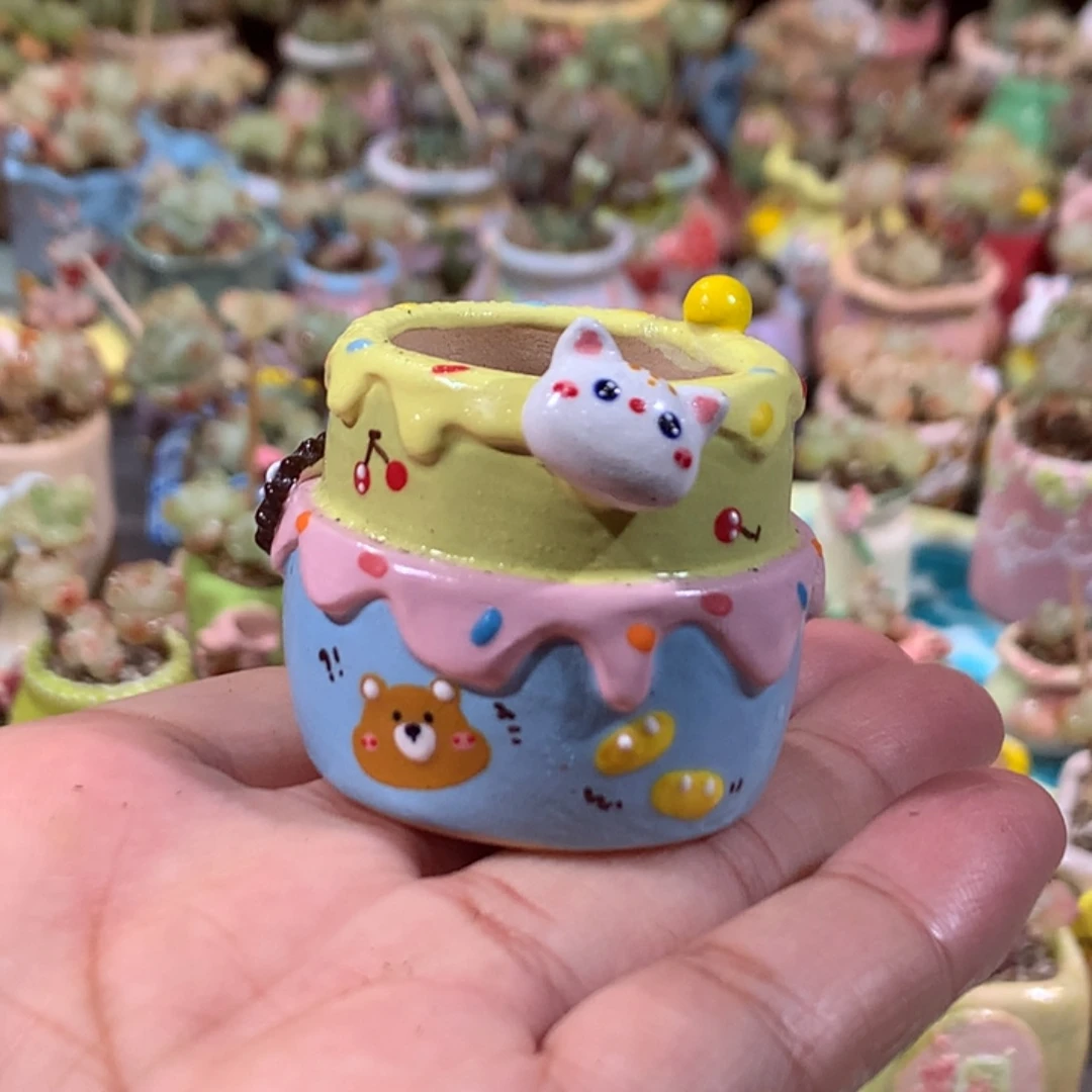 内口3    满100包邮