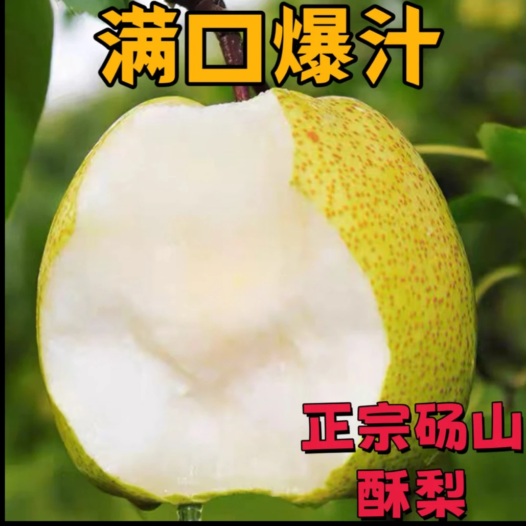 安徽砀山酥梨【正宗】现摘酥脆多汁甘甜爽口