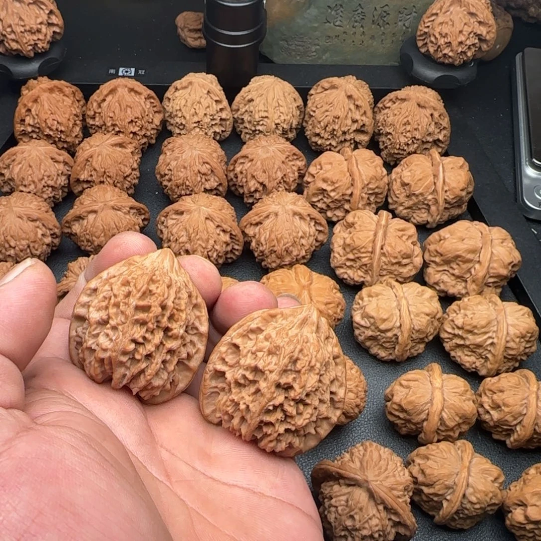 41尺全品无修满天星