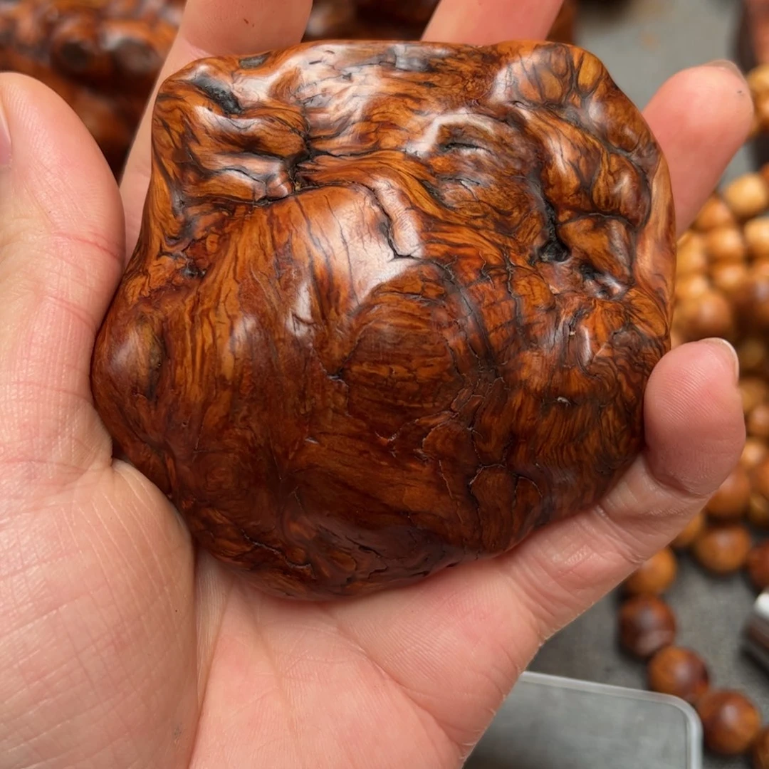 柏木（崖柏）太行崖柏陈化太行