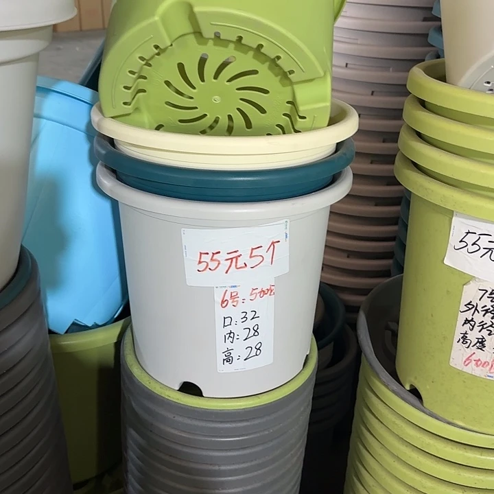 微瑕6#口径32无托果绿5个