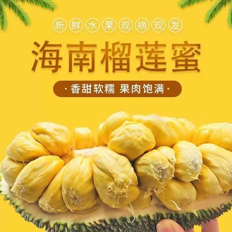 海南榴莲蜜热带水果软糯香甜湿包品种非榴莲新鲜包邮一整个