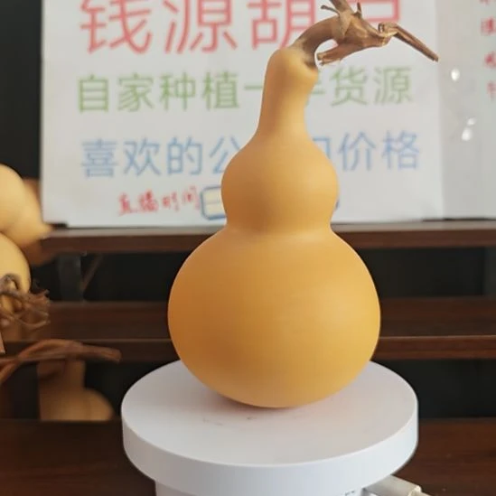 葫芦干货一把如图3