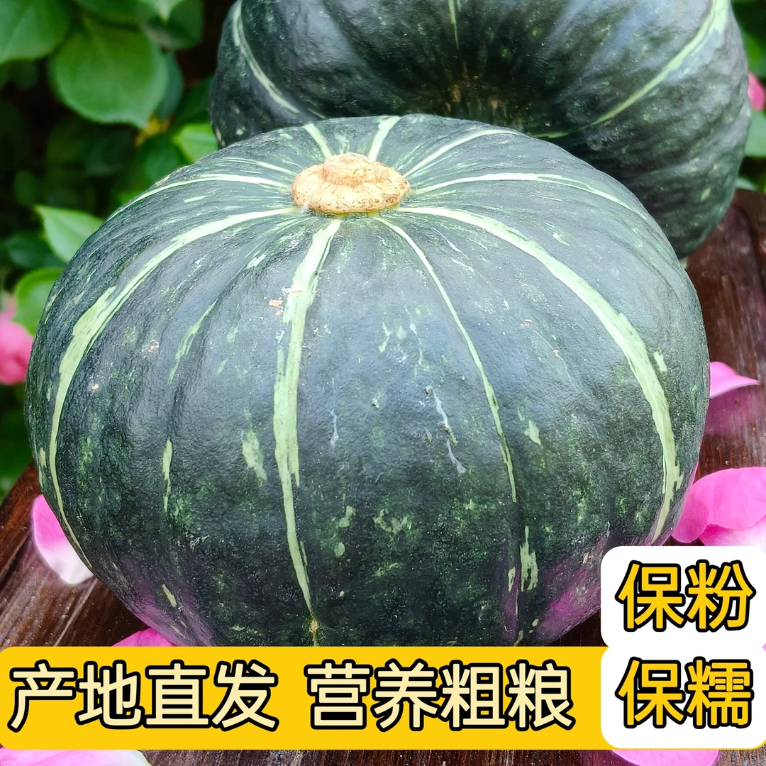 [粉糯香甜]正宗贝贝南瓜老瓜粉糯香甜