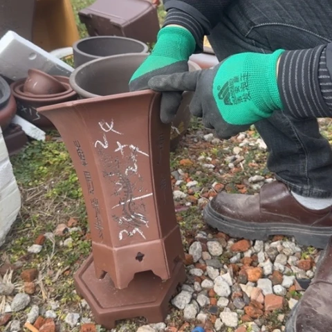 紫砂花盆紫砂花盆盆景盆栽