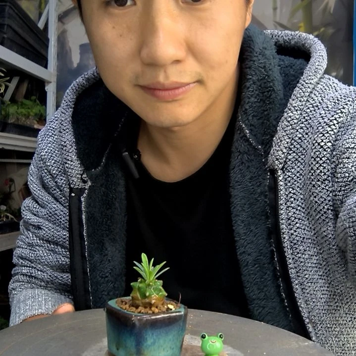 一**好中青园艺一物一拍112