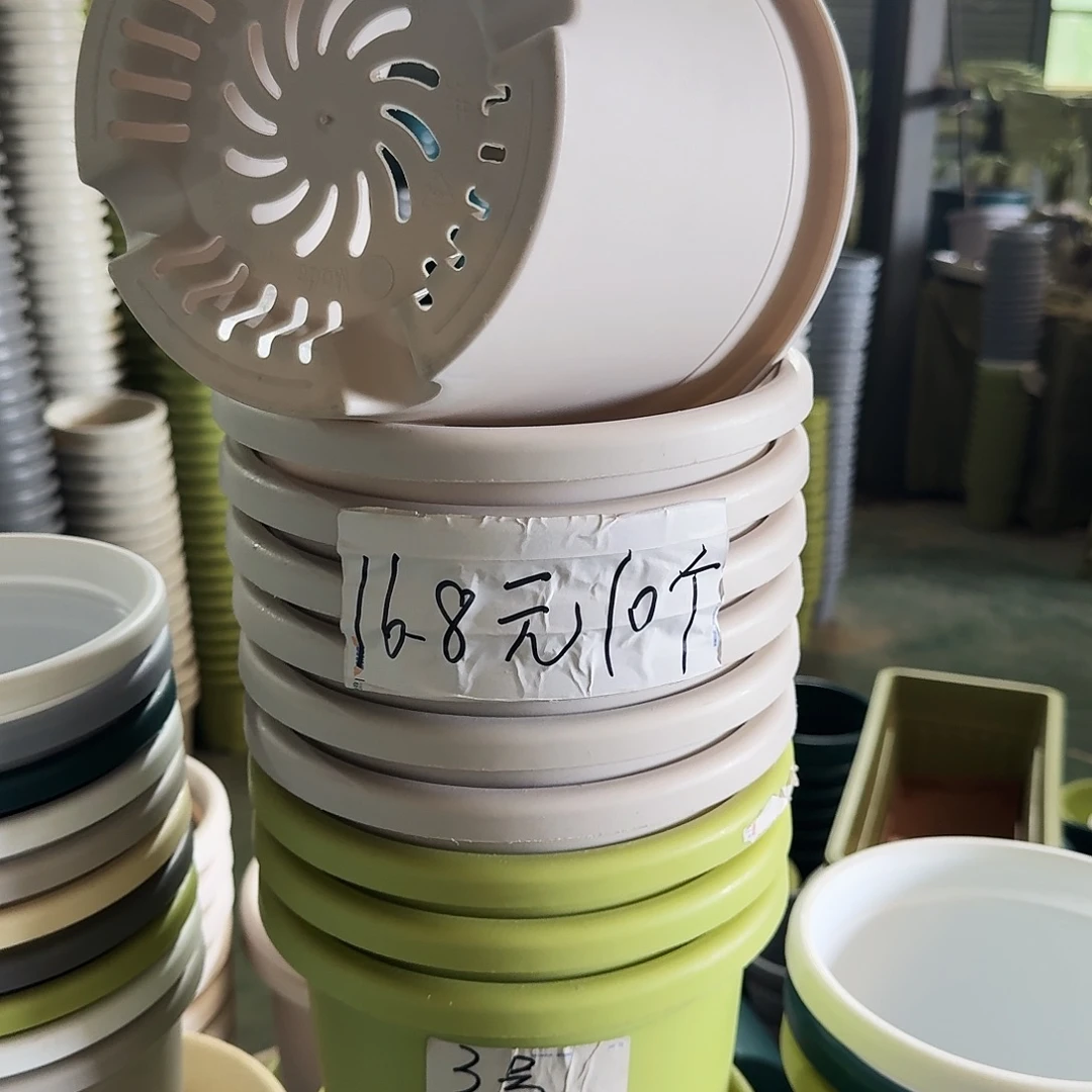 微瑕3#口径21无拖果绿10个