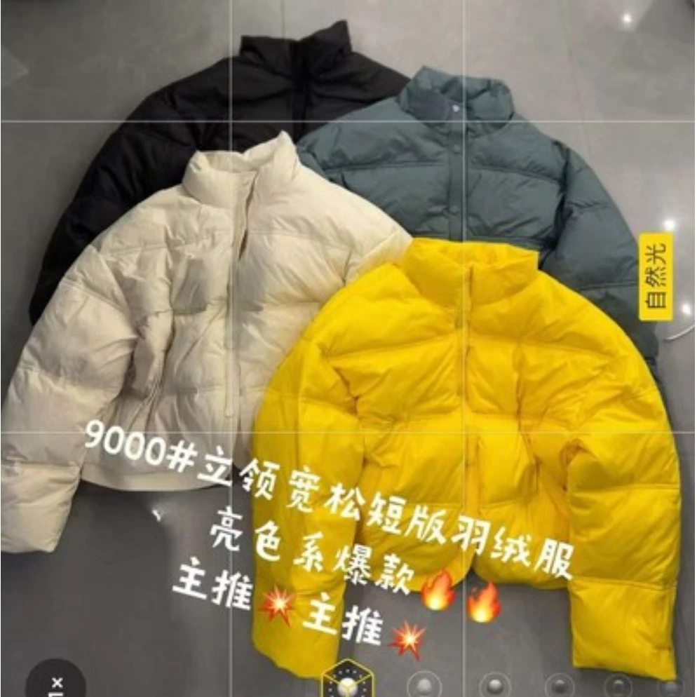 9000-1/1100 高级感立领百搭宽松加厚面包服棉服