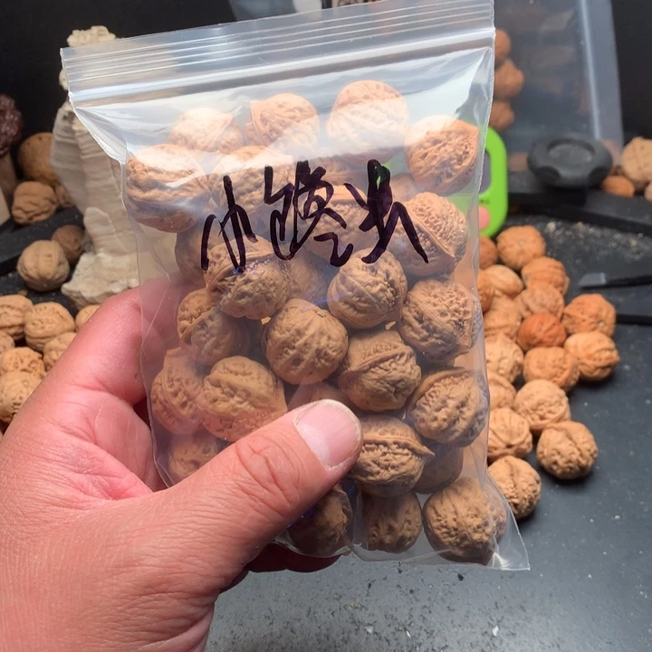 文玩核桃吊坠小*虫野生精品小核桃散籽