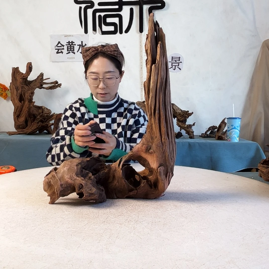 致**1周末福利沉木造景