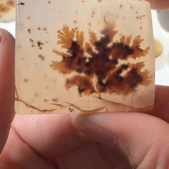 玛瑙/玉髓未镶嵌珠宝半成品