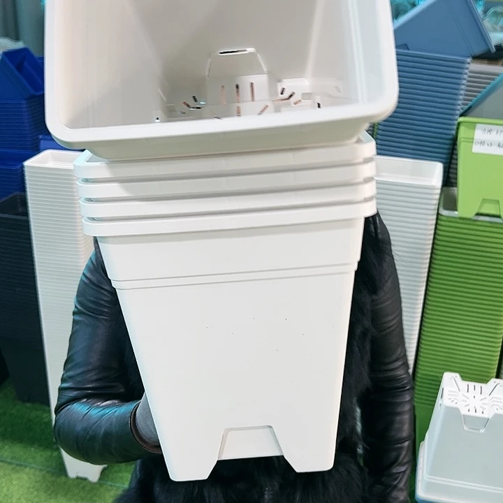 正品方盆口23高26白色无托5只