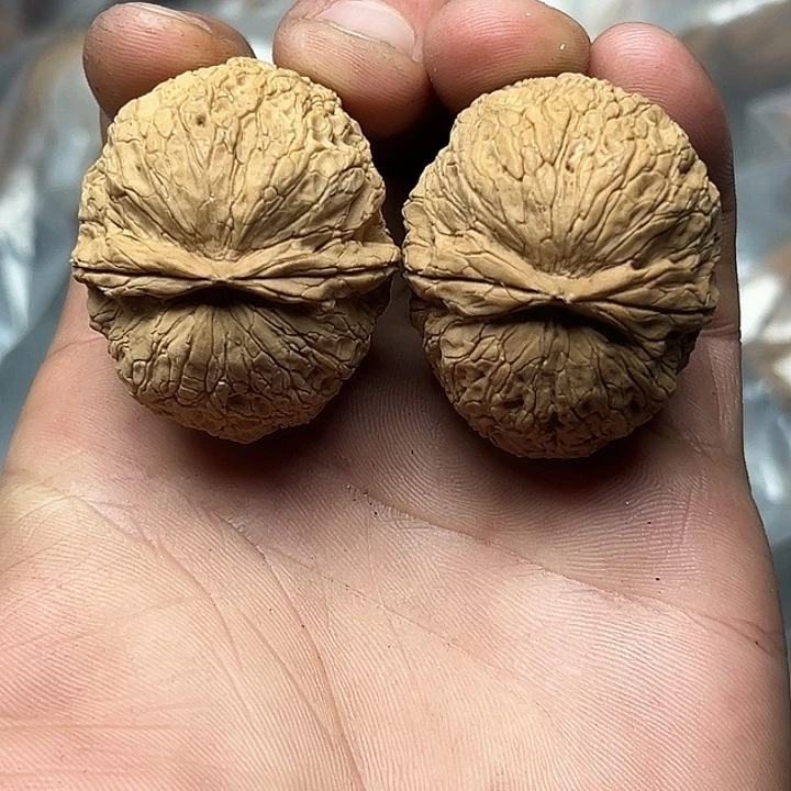 文玩核桃把件66号狮