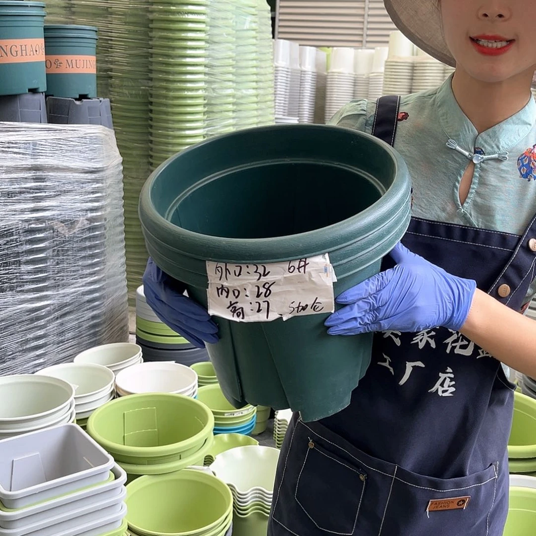 青山盆6#墨绿色5个无托