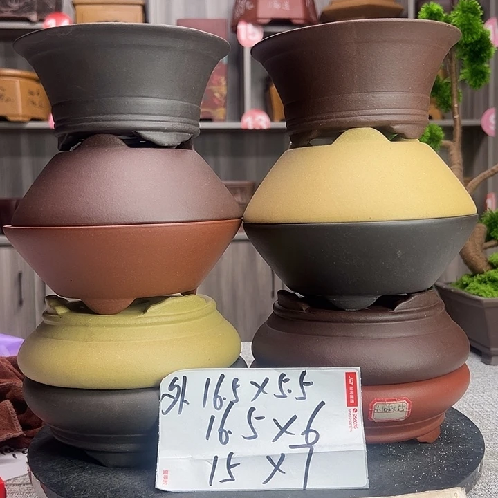 紫砂花盆紫砂花开