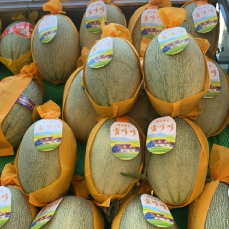 蜜多多小蜜 哈密瓜 6元/斤