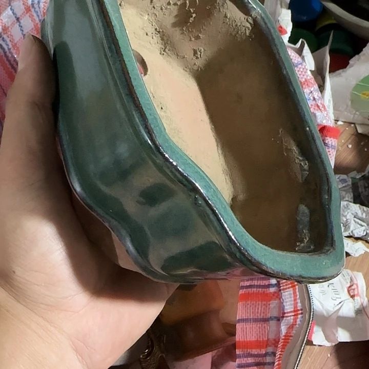 小***建扇子共和国哈哈哈哈哈哈哈哈
