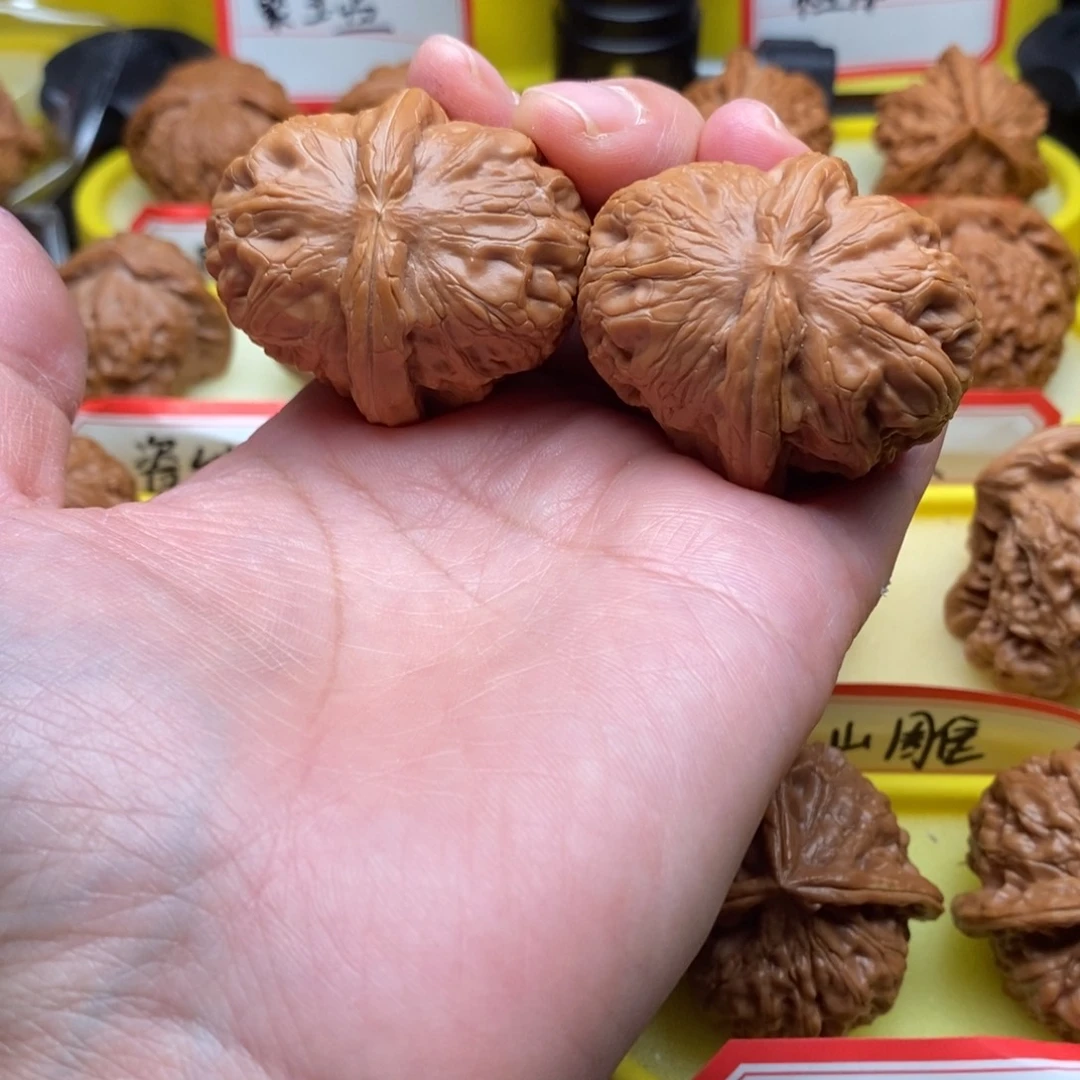 用***1菩提籽类元宝元宝