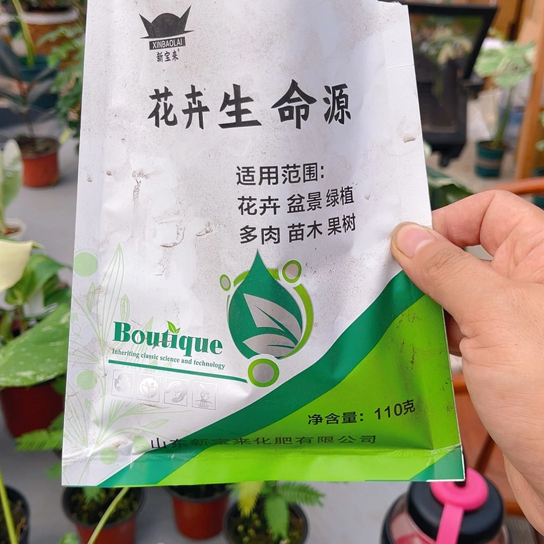 完全开放生命之源