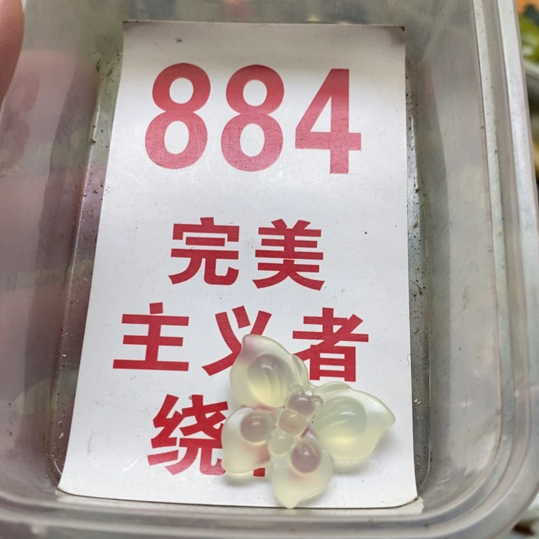 蛇纹石玉挂坠未镶嵌