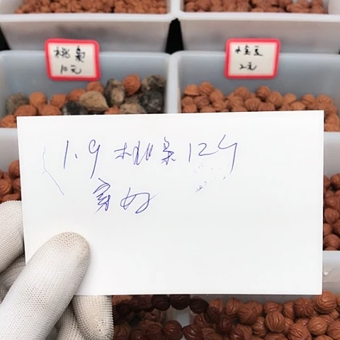 桃核吊坠海**川龙纹桃核的搭配