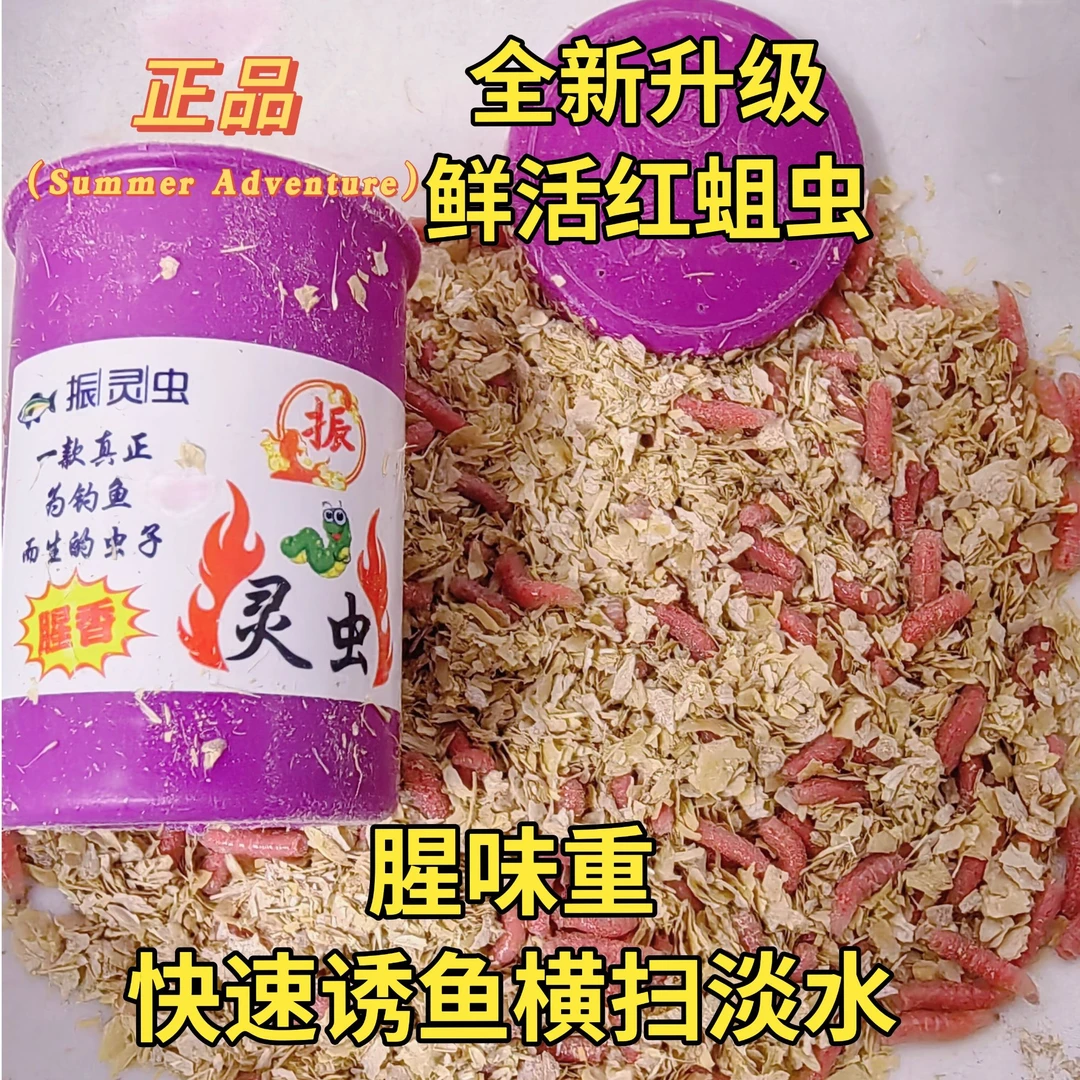 （场地直发）鲜活蛋白红蛆虫腥味耐咬狂拉爆护鲫鱼马口公鱼江河湖库