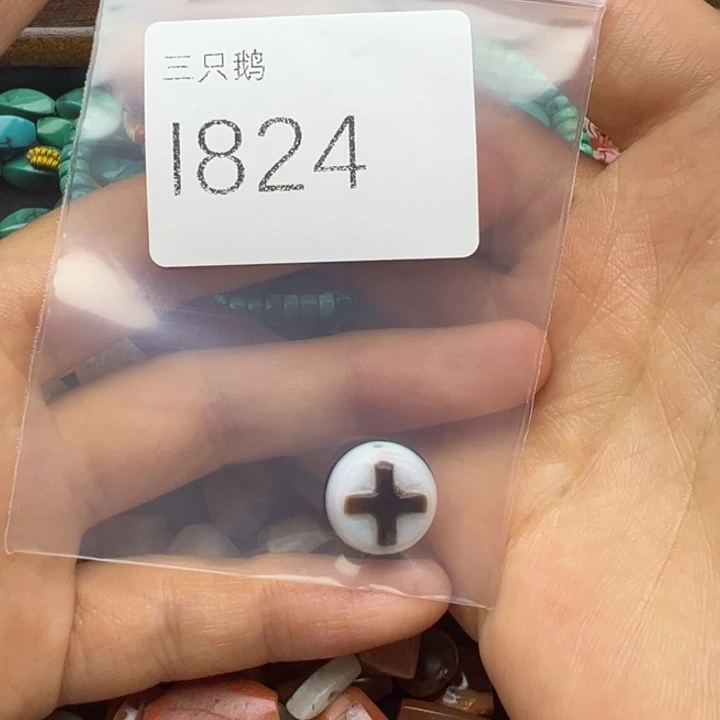 观***尝吊坠菩提根/象牙果