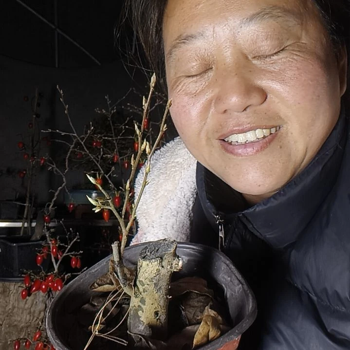 汊***。无花朵15645688586888