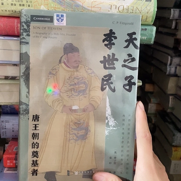 天之子李世民：微瑕