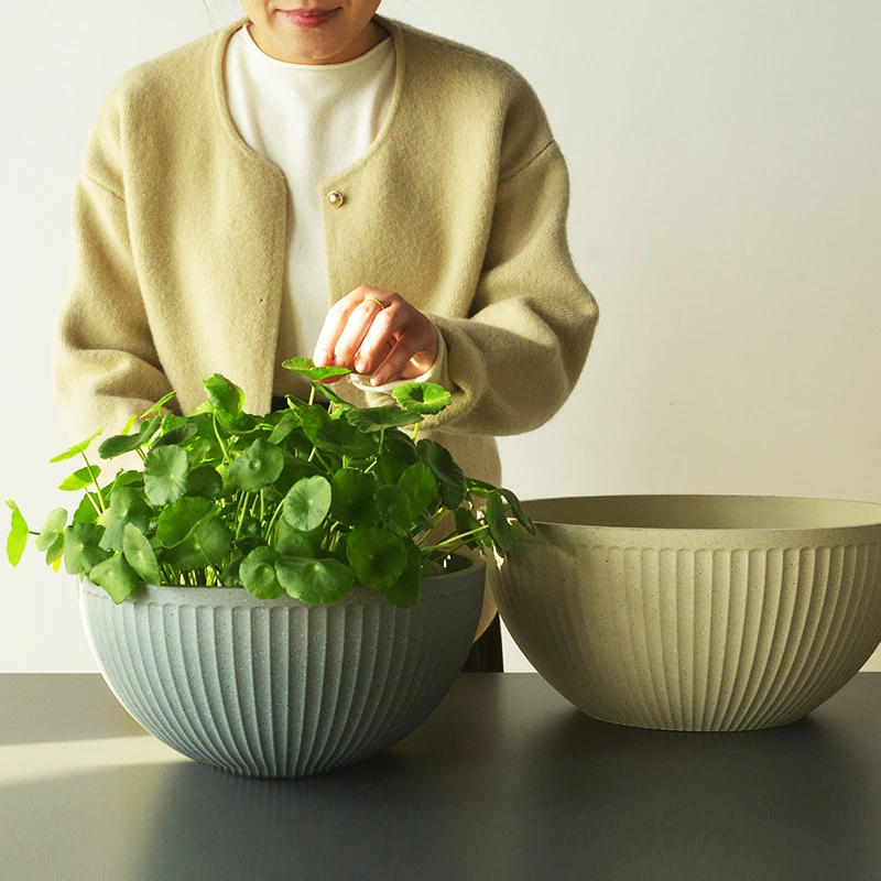 铜钱草花盆专用大口径水培植物器皿轻奢高级感水养金钱草碗莲绿萝