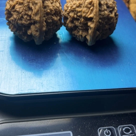 ****️银S9251244567890