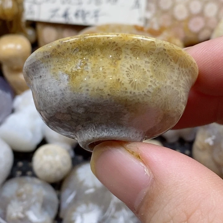 颈饰未镶嵌硅化珊瑚（珊瑚玉）