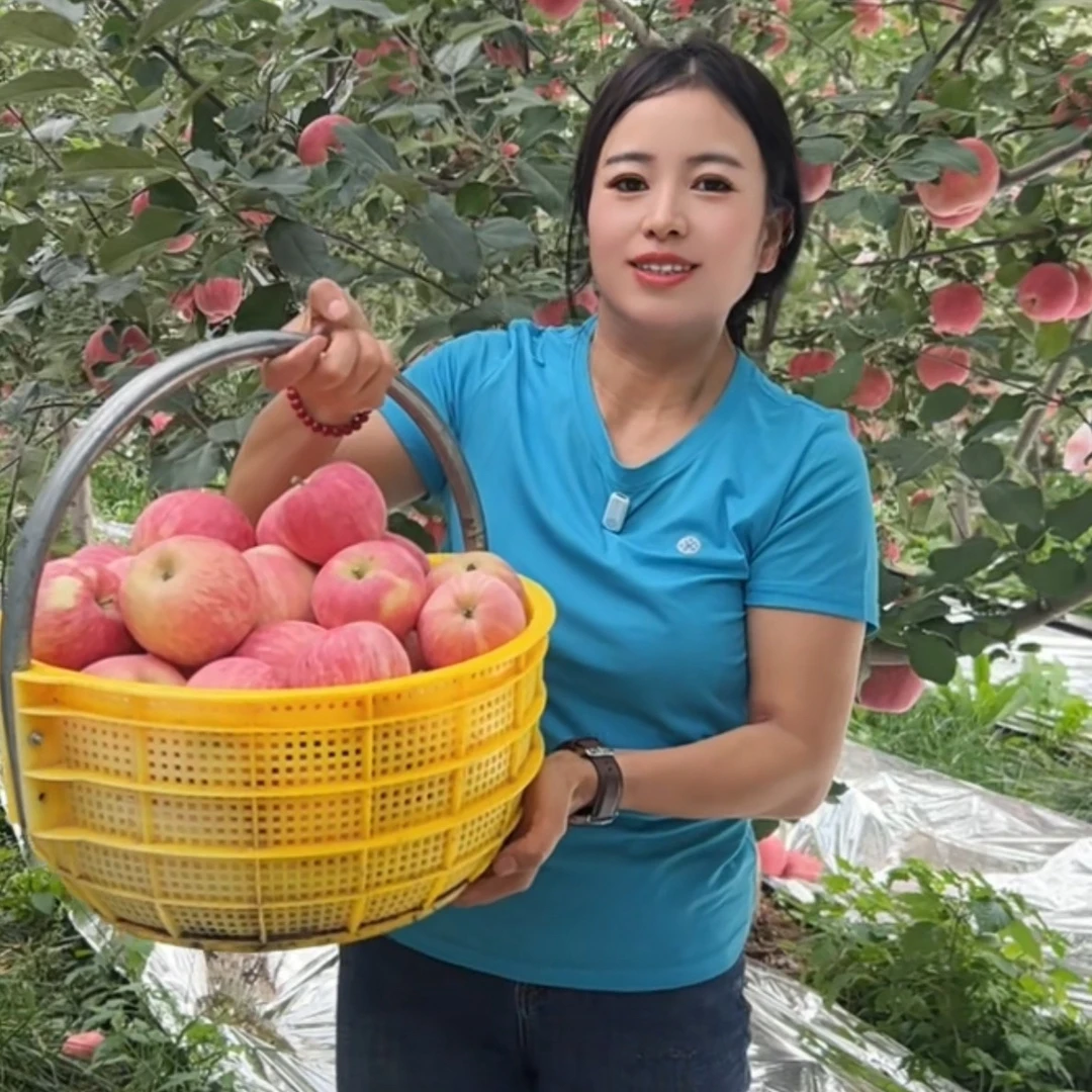 甘肃庆阳晚熟红富士苹果新果现摘