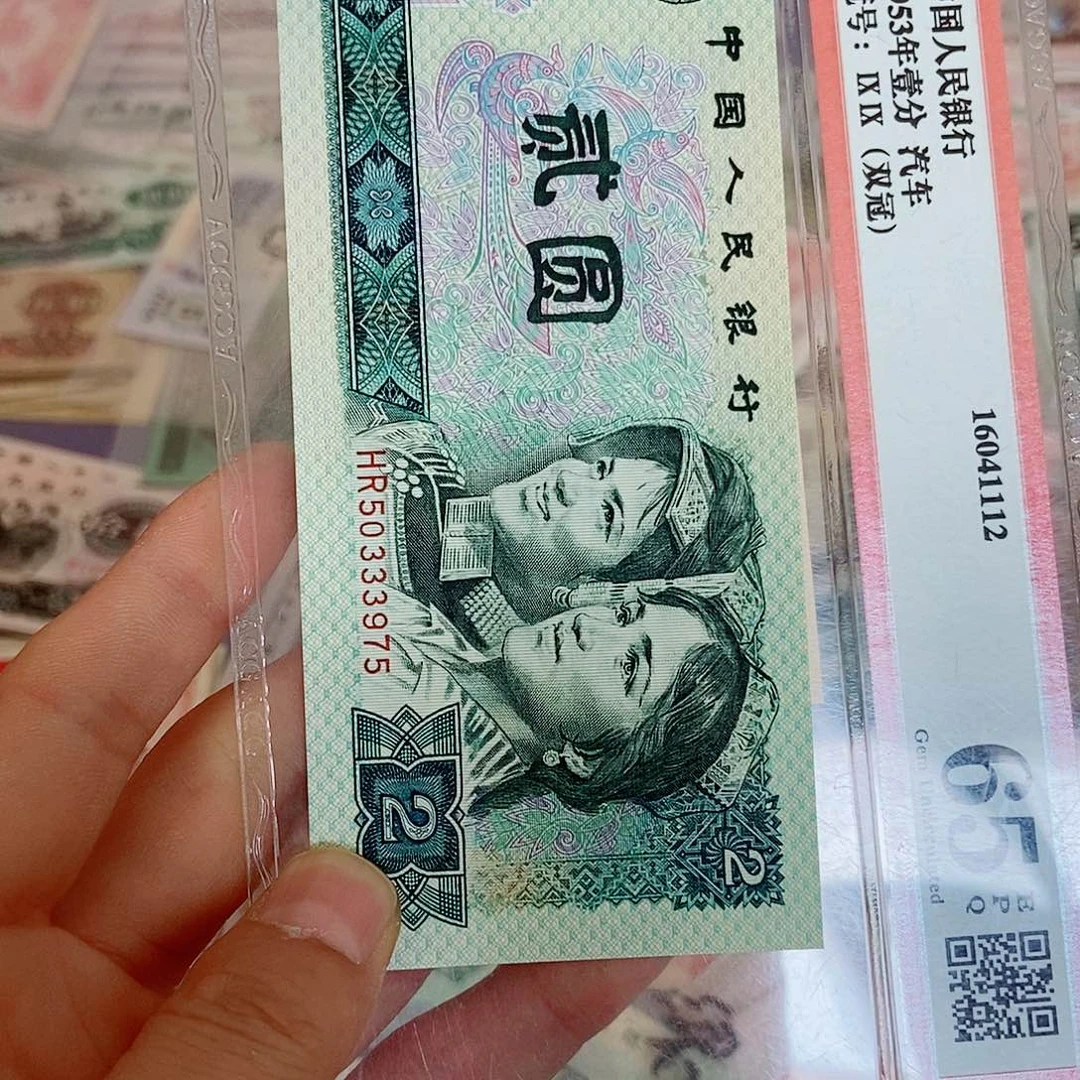 Y**T2500000000000000绿