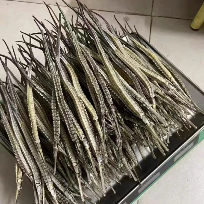 【祥哥推荐】新货晒制干海龙鱼可泡酒 煲汤 约500条