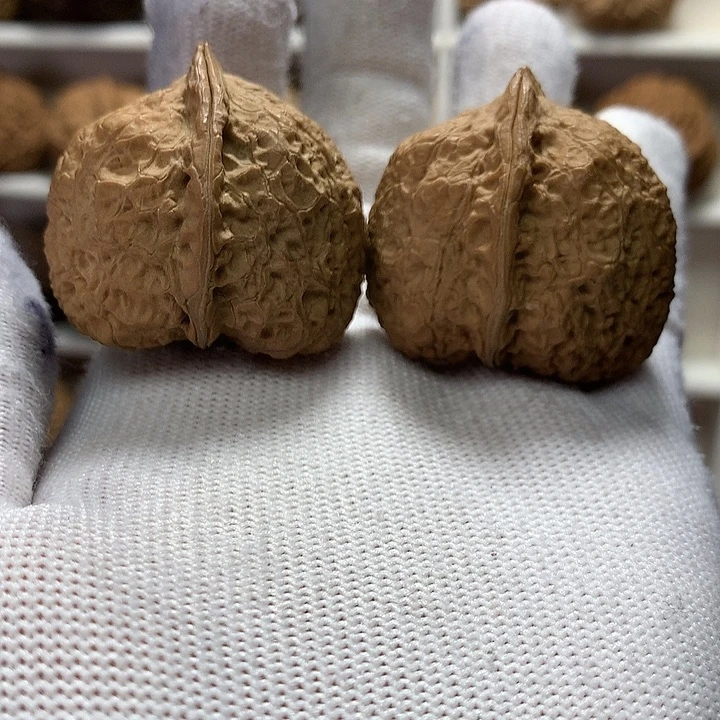 核桃38尺观音座6号