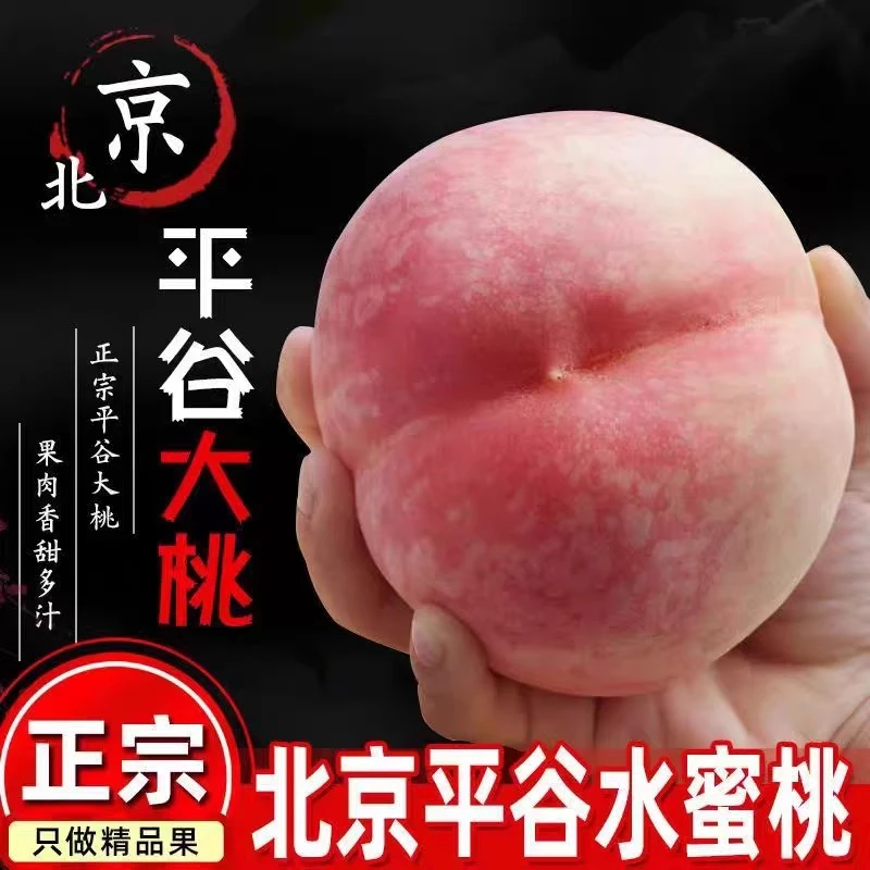 正宗北京平谷大桃水蜜桃硬脆软大果鲜桃子久保新鲜现摘水果礼物