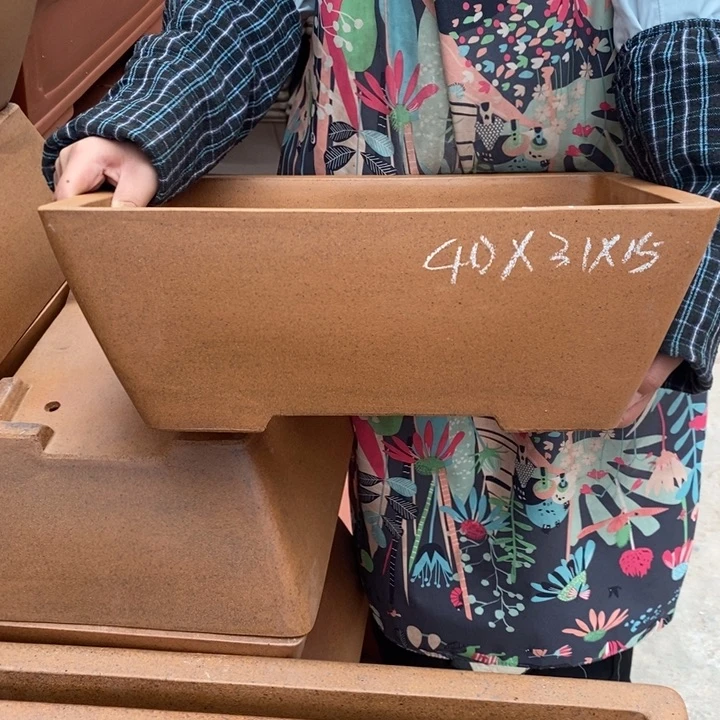 花盆紫砂只顾吃药睡个早