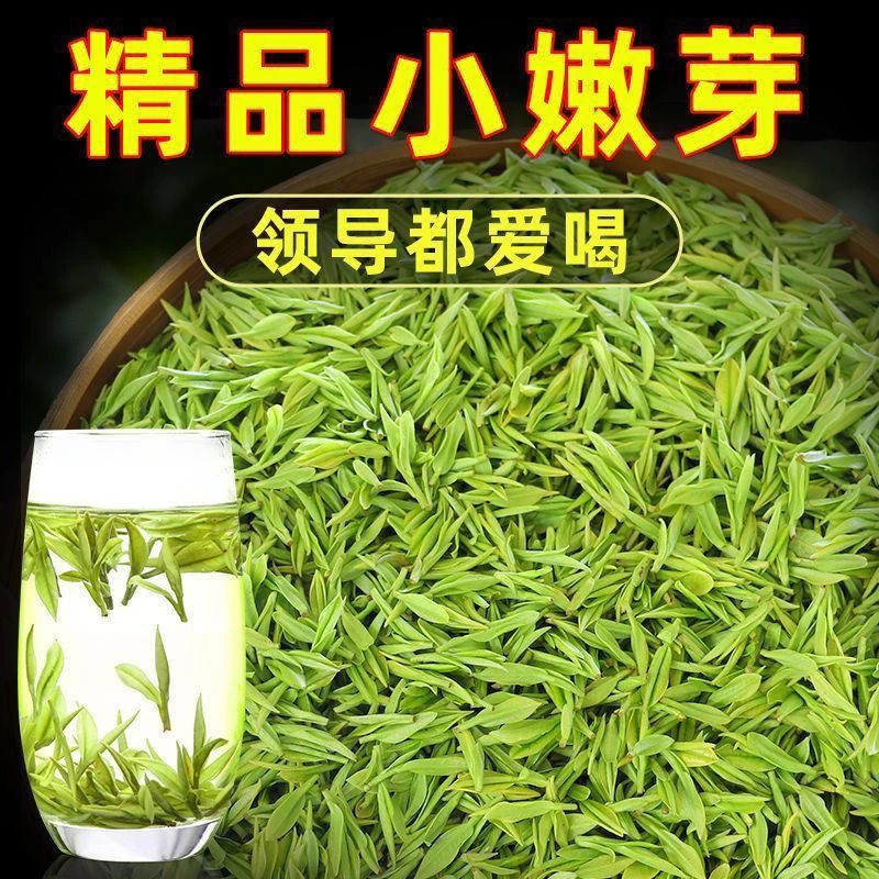 B6明前头采2025新茶高山白茶散装春茶浙江原产地绿茶安吉茶农自销