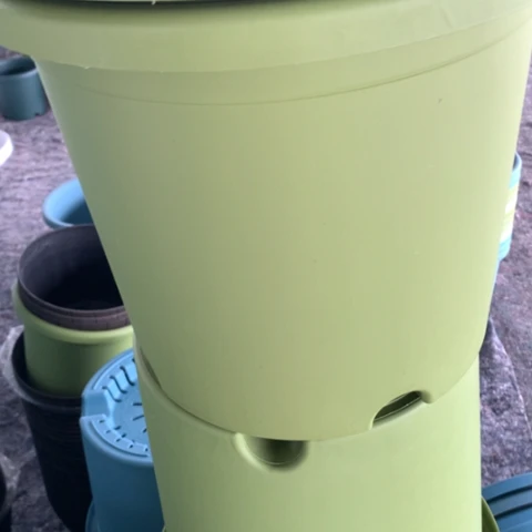 树脂5加果绿无托3个