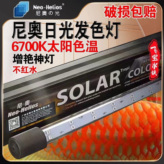 尼奥增艳灯鱼缸灯发色灯6700K雷龙红龙鱼血鹦鹉金鱼观赏鱼专用灯