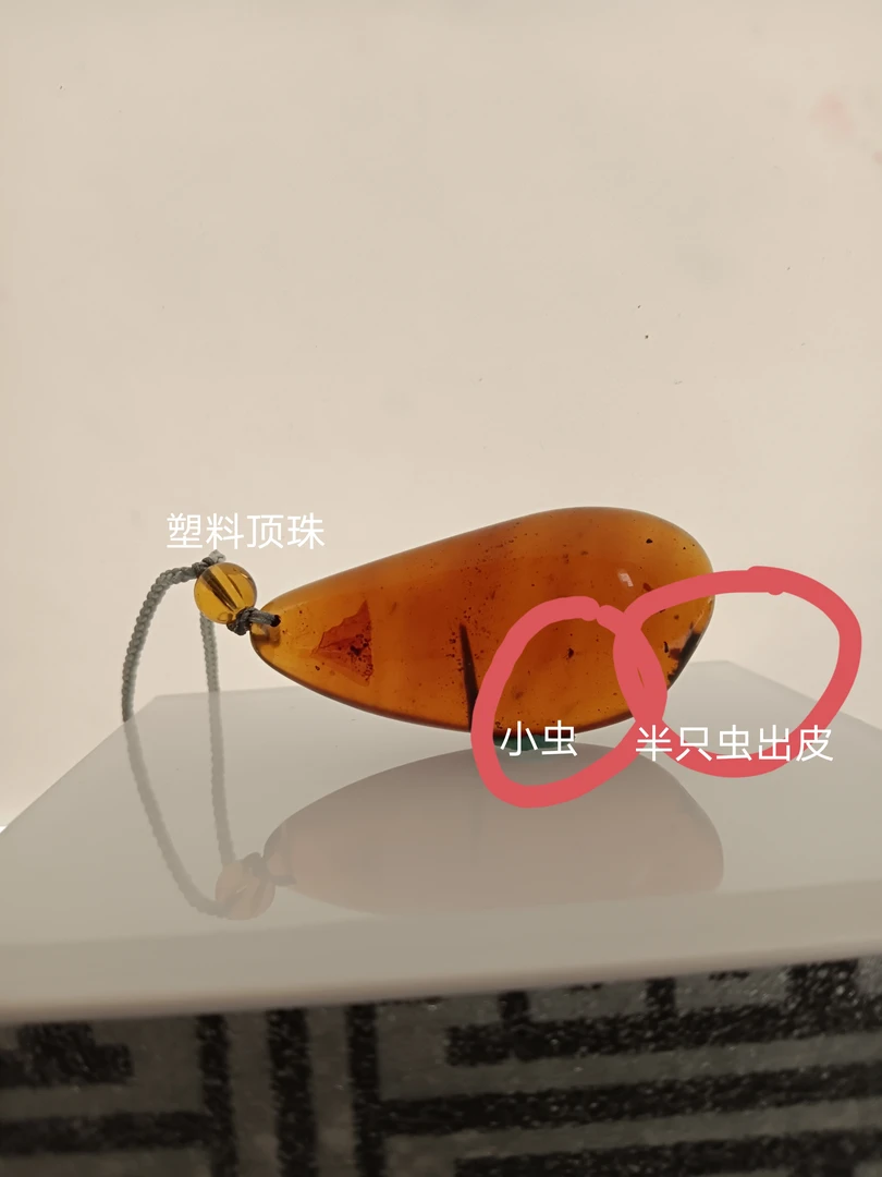 缅甸天然琥珀虫珀吊坠有小虫半只虫出皮植物穿的是塑料顶珠潮流